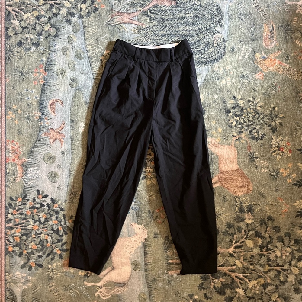 Aritzia Babaton trousers